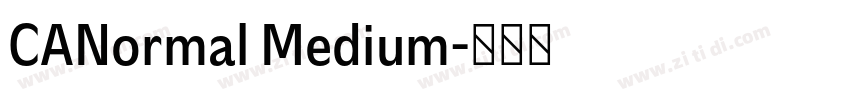 CANormal Medium字体转换